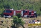 pyrosvestiki_fotia_1_policenews-134x90.jpg